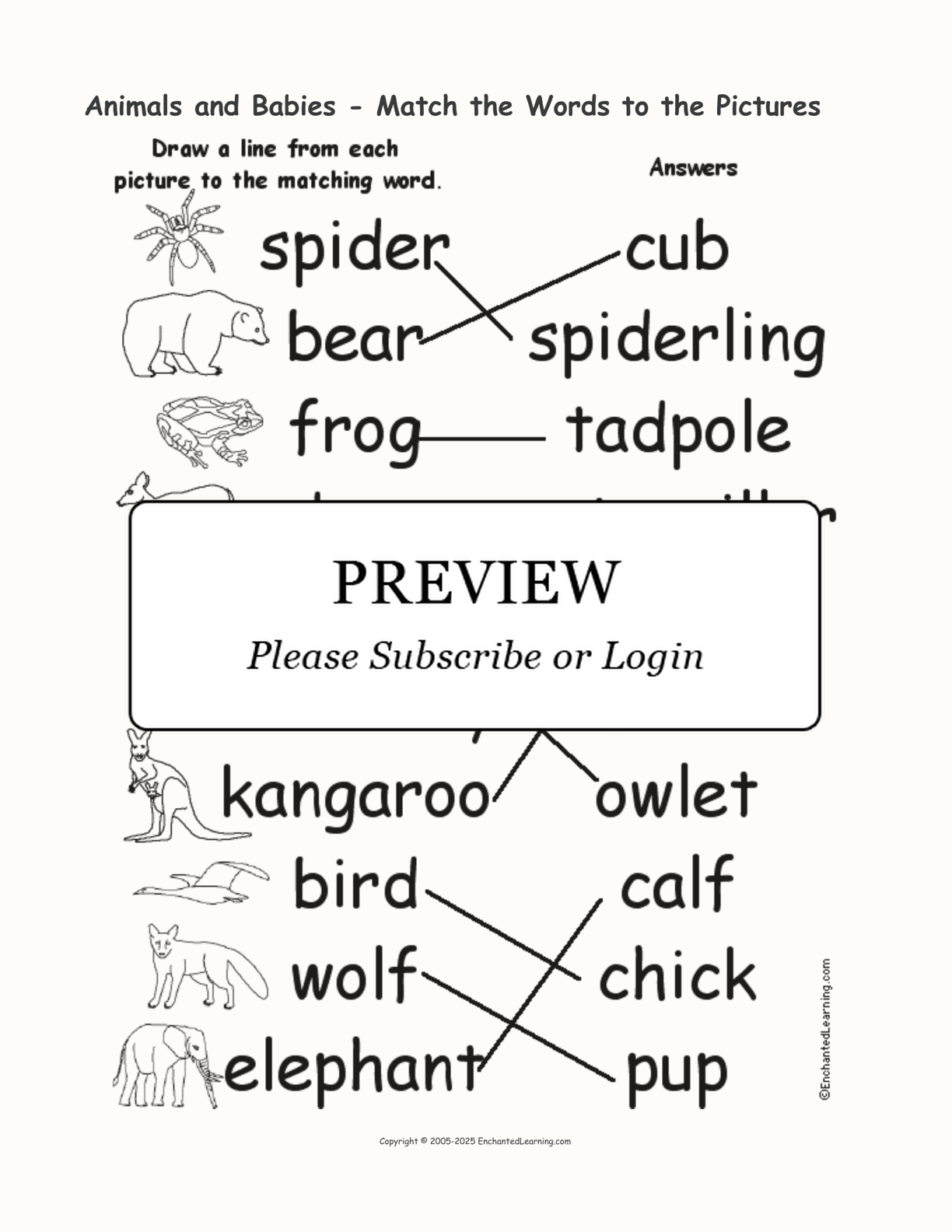 Animals and Babies - Match the Words to the Pictures interactive worksheet page 2