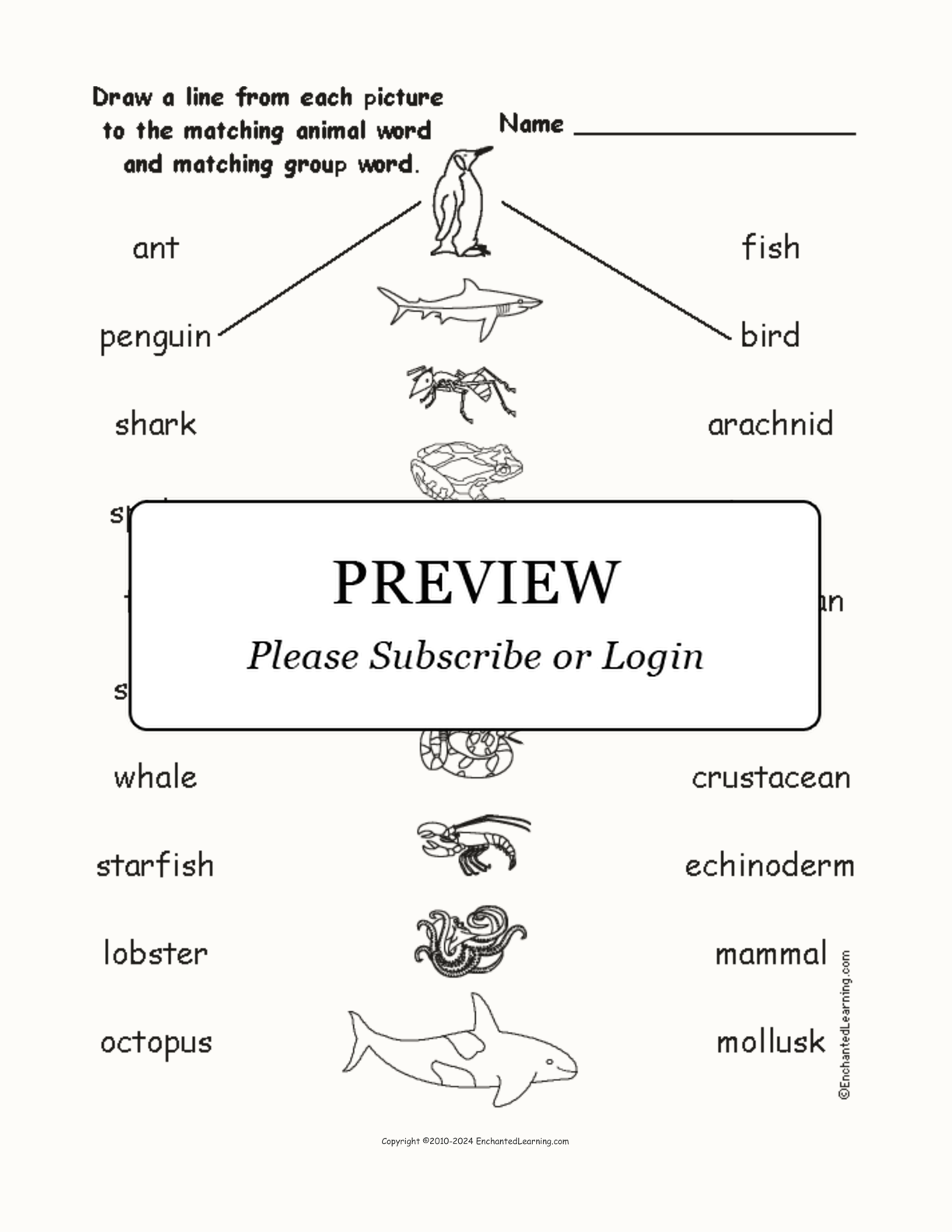 Animal Groups #1 - Match the Words to the Pictures interactive worksheet page 1