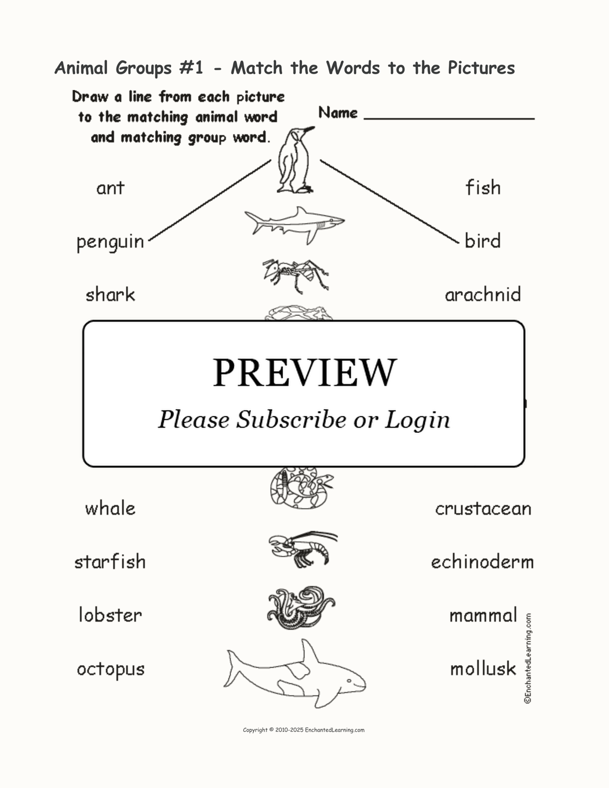 Animal Groups #1 - Match the Words to the Pictures interactive worksheet page 1