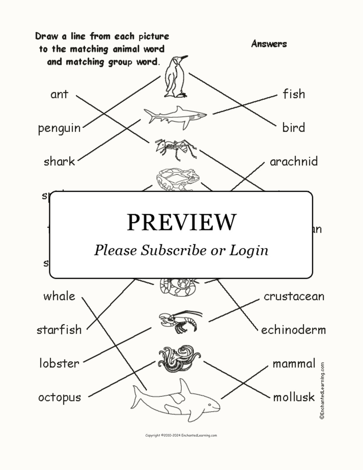 Animal Groups #1 - Match the Words to the Pictures interactive worksheet page 2