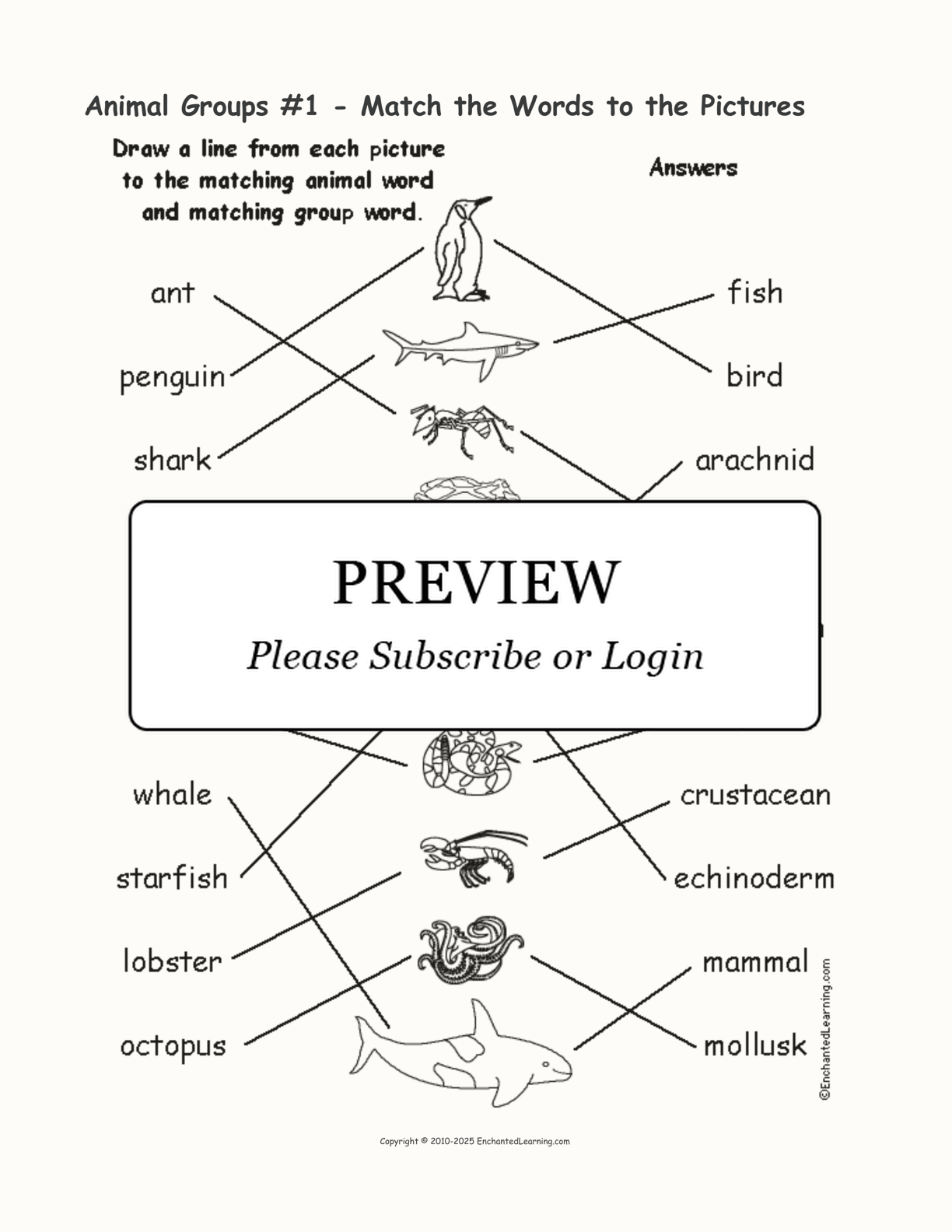 Animal Groups #1 - Match the Words to the Pictures interactive worksheet page 2