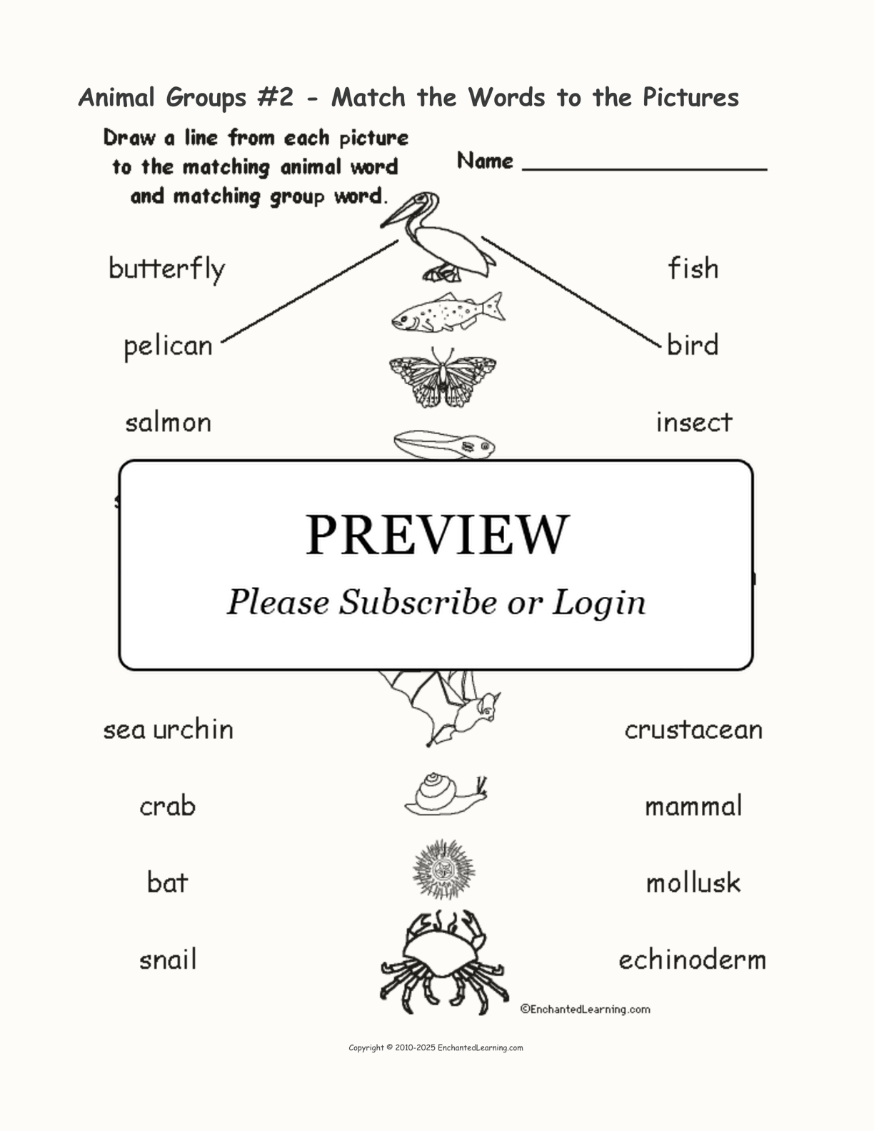 Animal Groups #2 - Match the Words to the Pictures interactive worksheet page 1