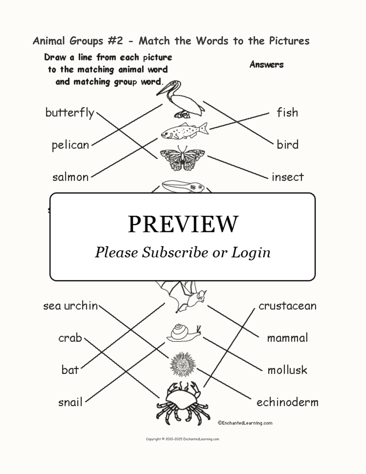 Animal Groups #2 - Match the Words to the Pictures interactive worksheet page 2