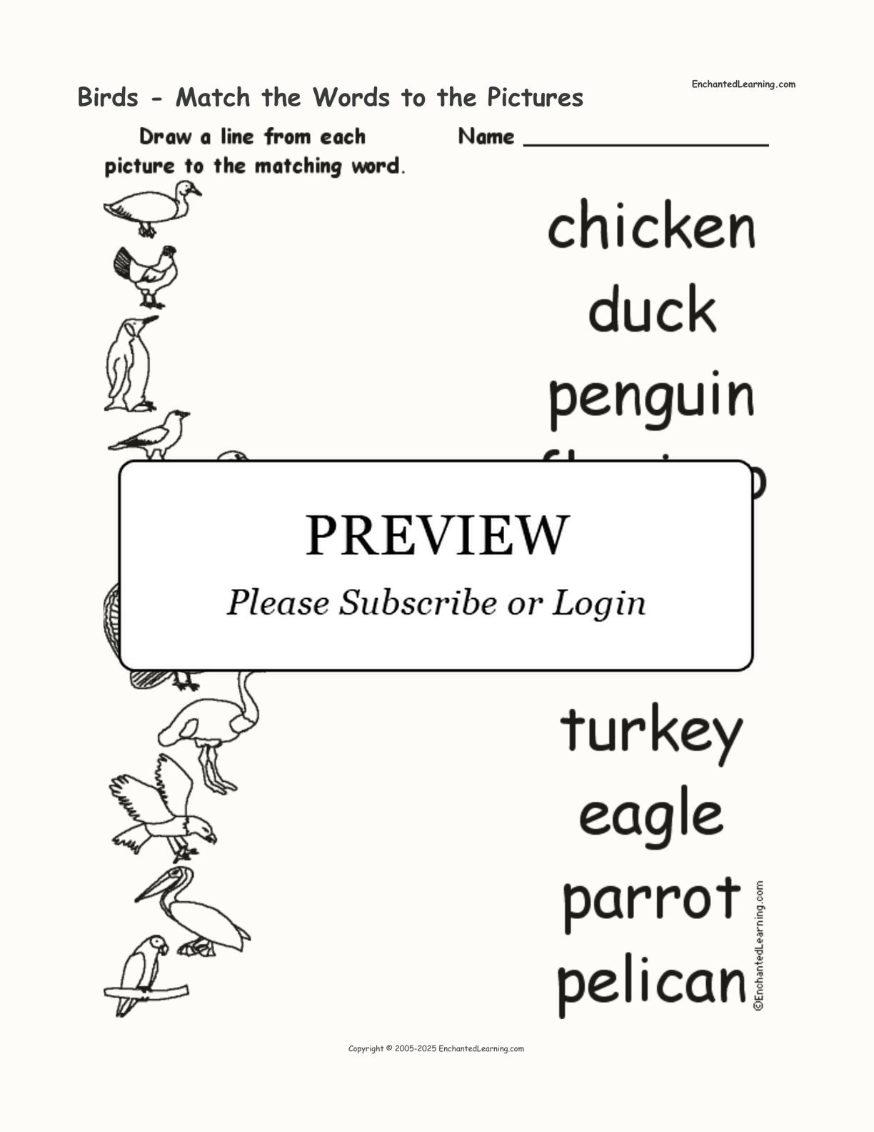 Birds - Match the Words to the Pictures interactive worksheet page 1