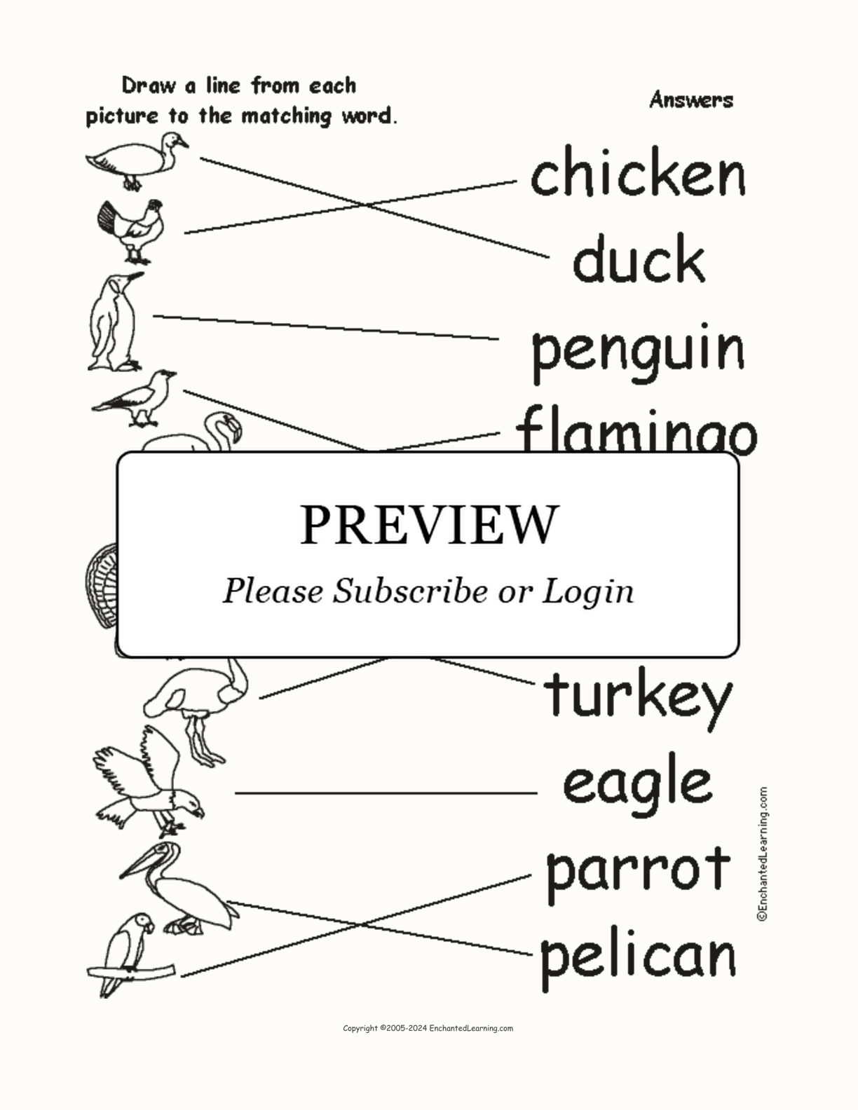Birds - Match the Words to the Pictures interactive worksheet page 2
