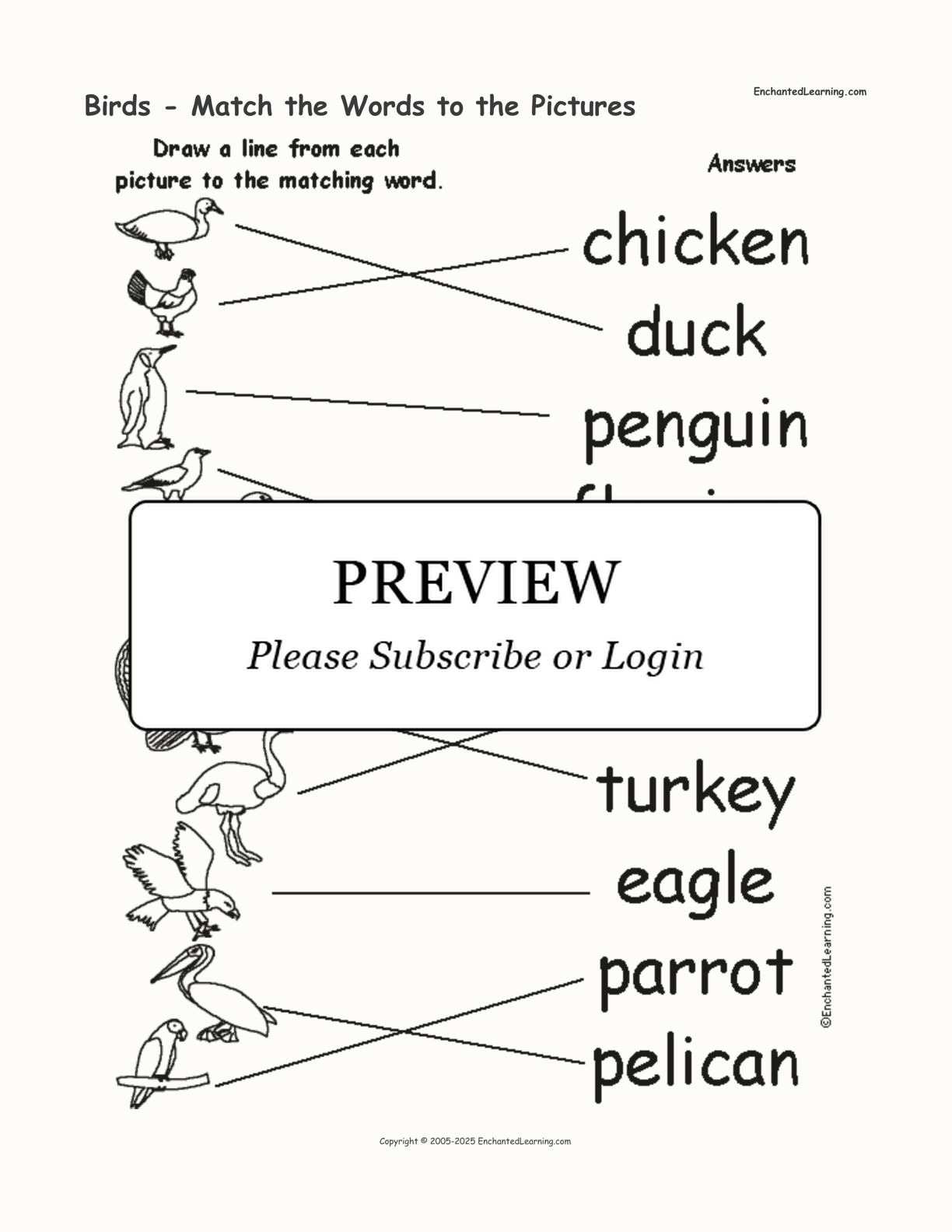 Birds - Match the Words to the Pictures interactive worksheet page 2