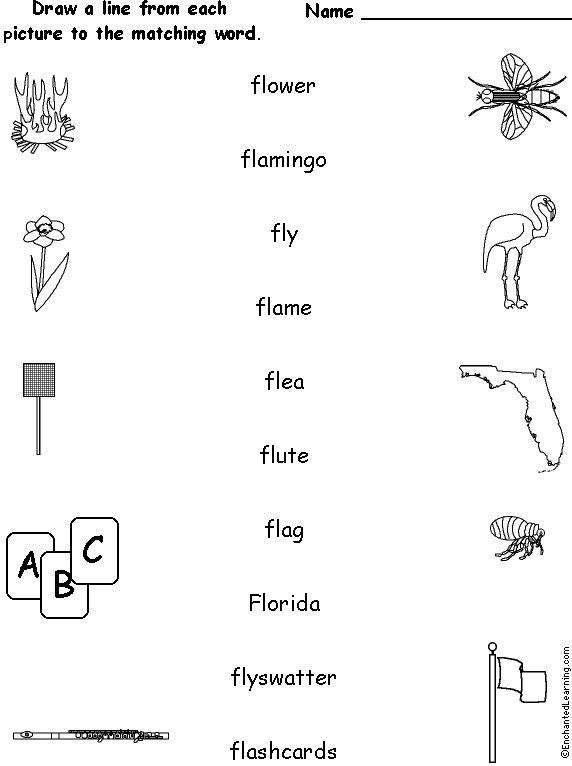 Words Starting With FL - Match the Words to the Pictures