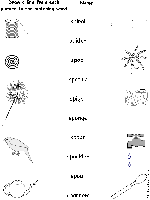 Words Starting With SP - Match the Words to the Pictures