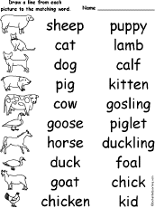Farm Animals and their Babies - Match the Words to the Pictures:  