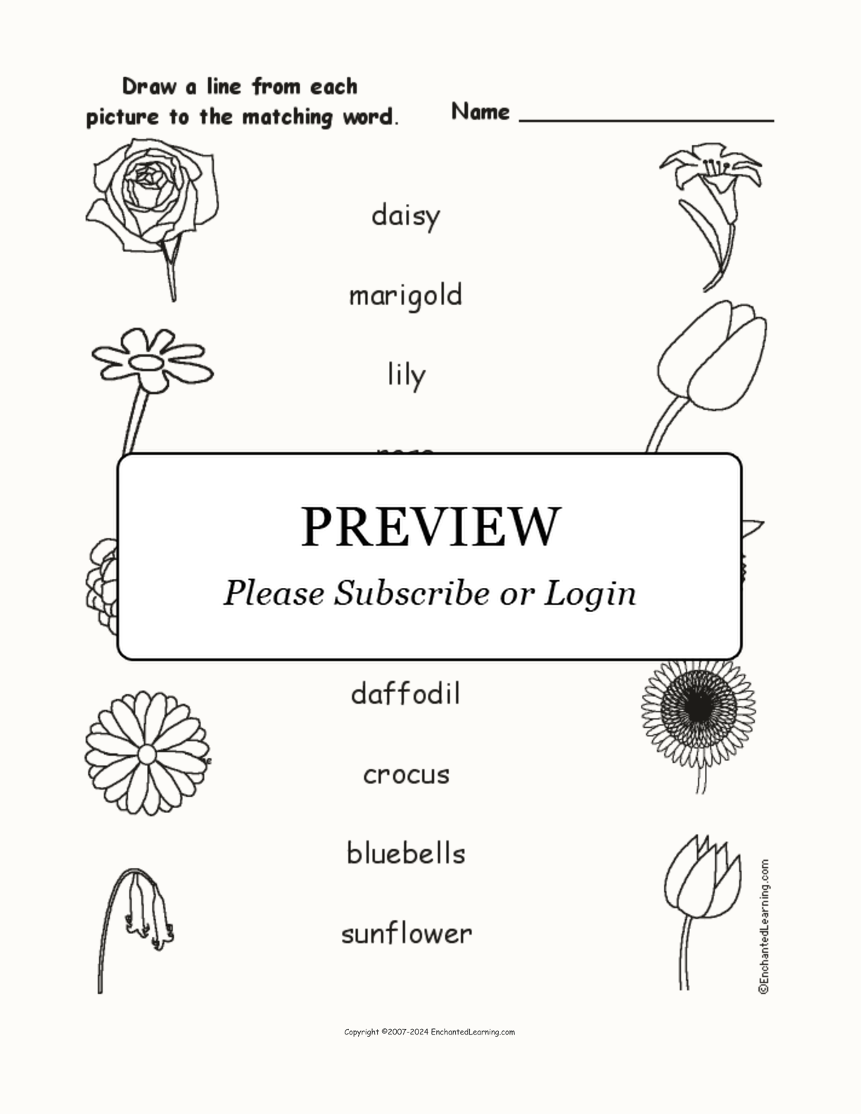 Match the Flower Words to the Pictures interactive worksheet page 1