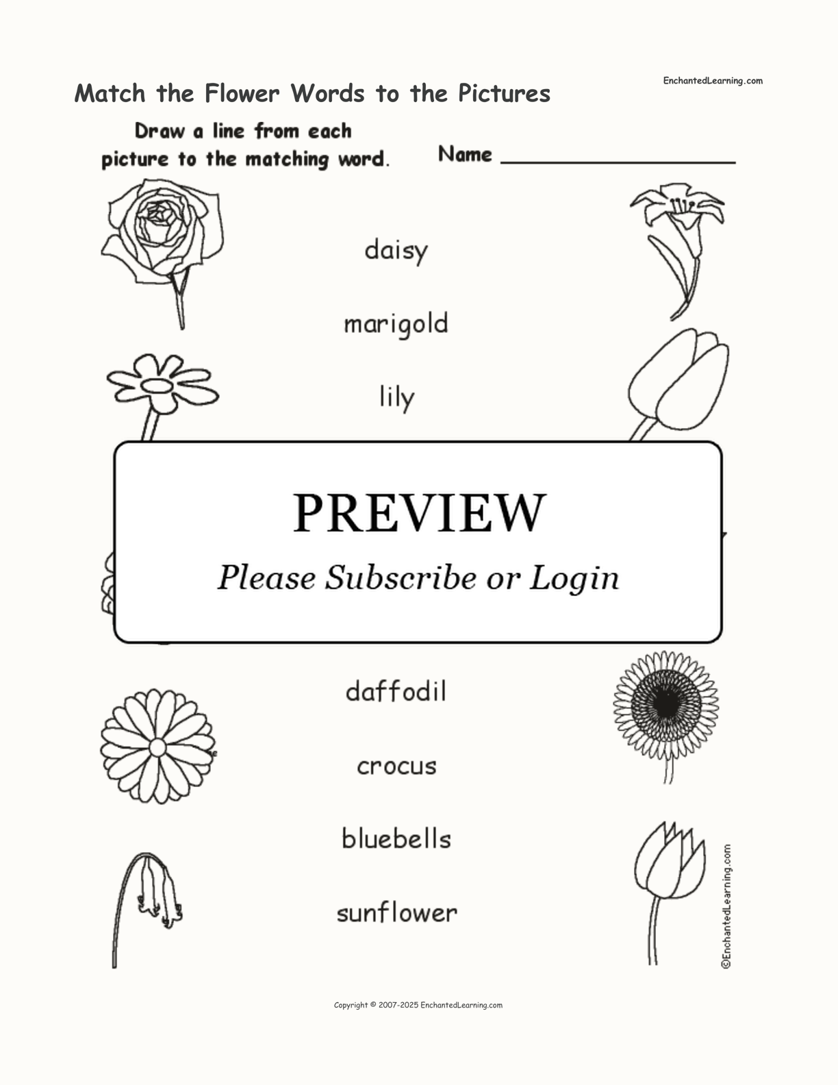 Match the Flower Words to the Pictures interactive worksheet page 1