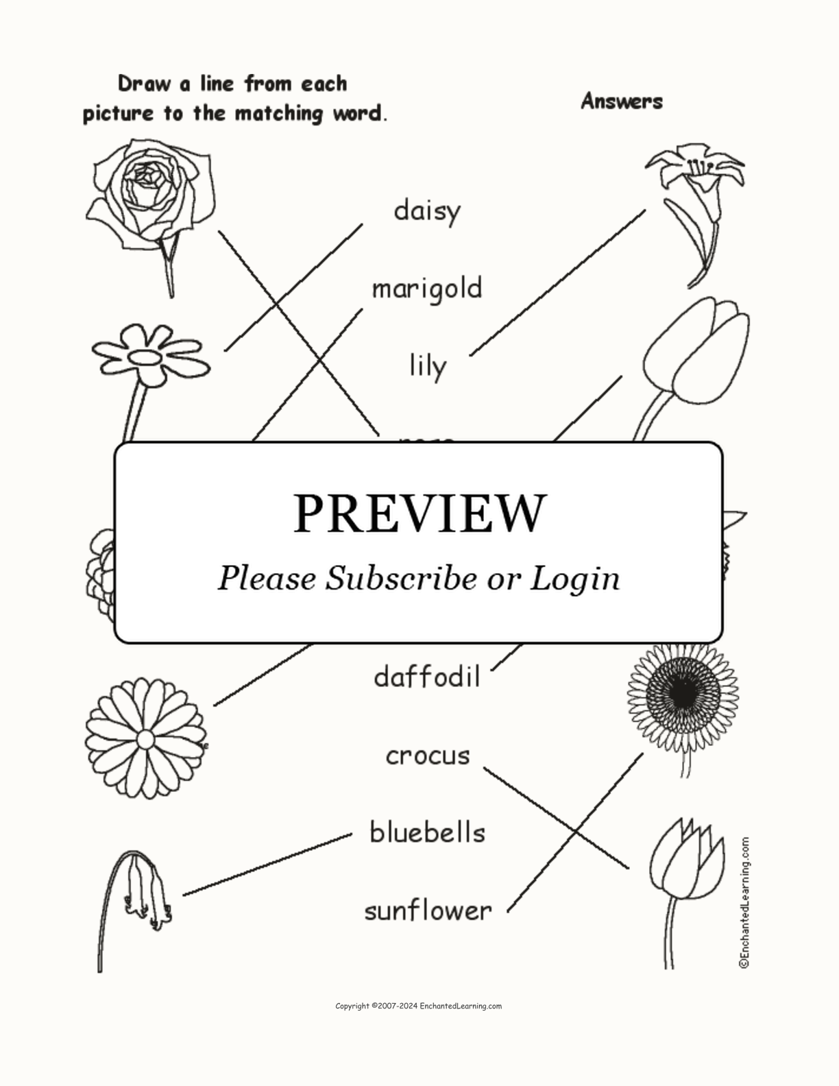 Match the Flower Words to the Pictures interactive worksheet page 2
