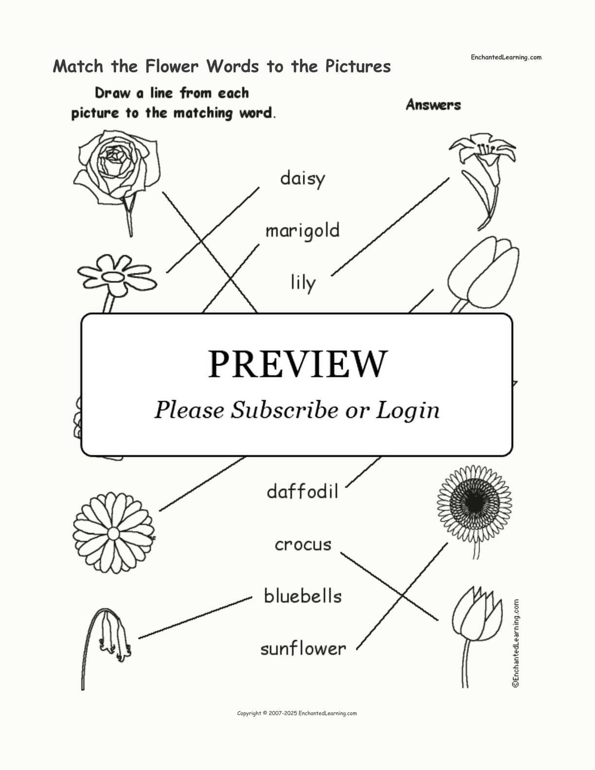 Match the Flower Words to the Pictures interactive worksheet page 2