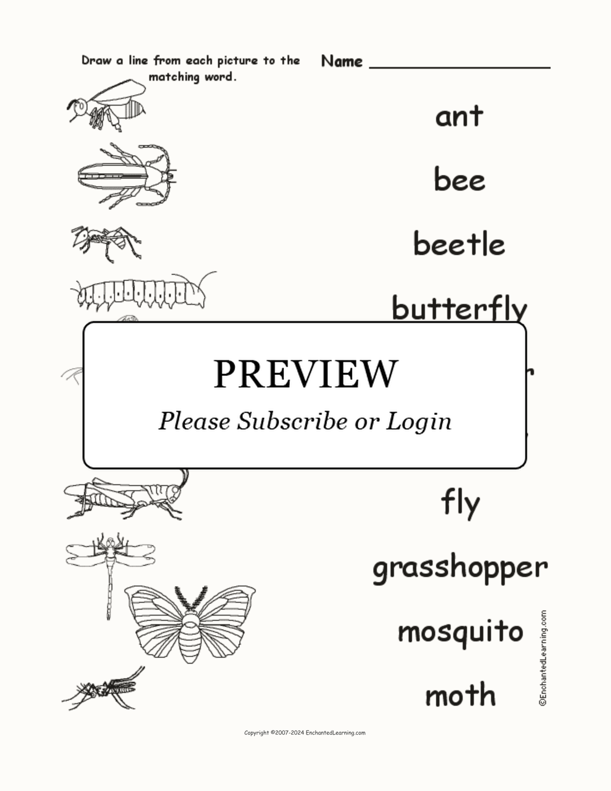 Match the Insect Words to the Pictures interactive worksheet page 1
