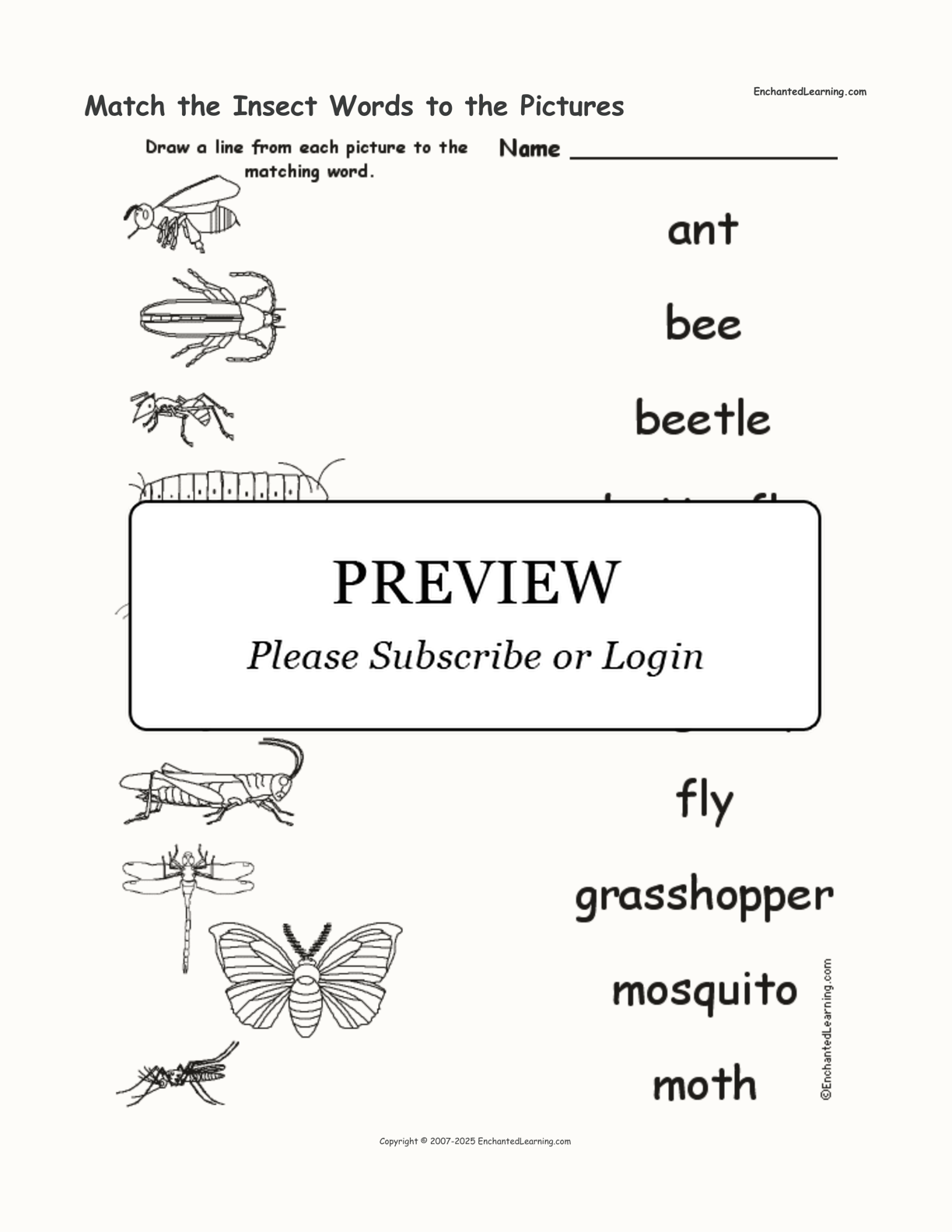 Match the Insect Words to the Pictures interactive worksheet page 1