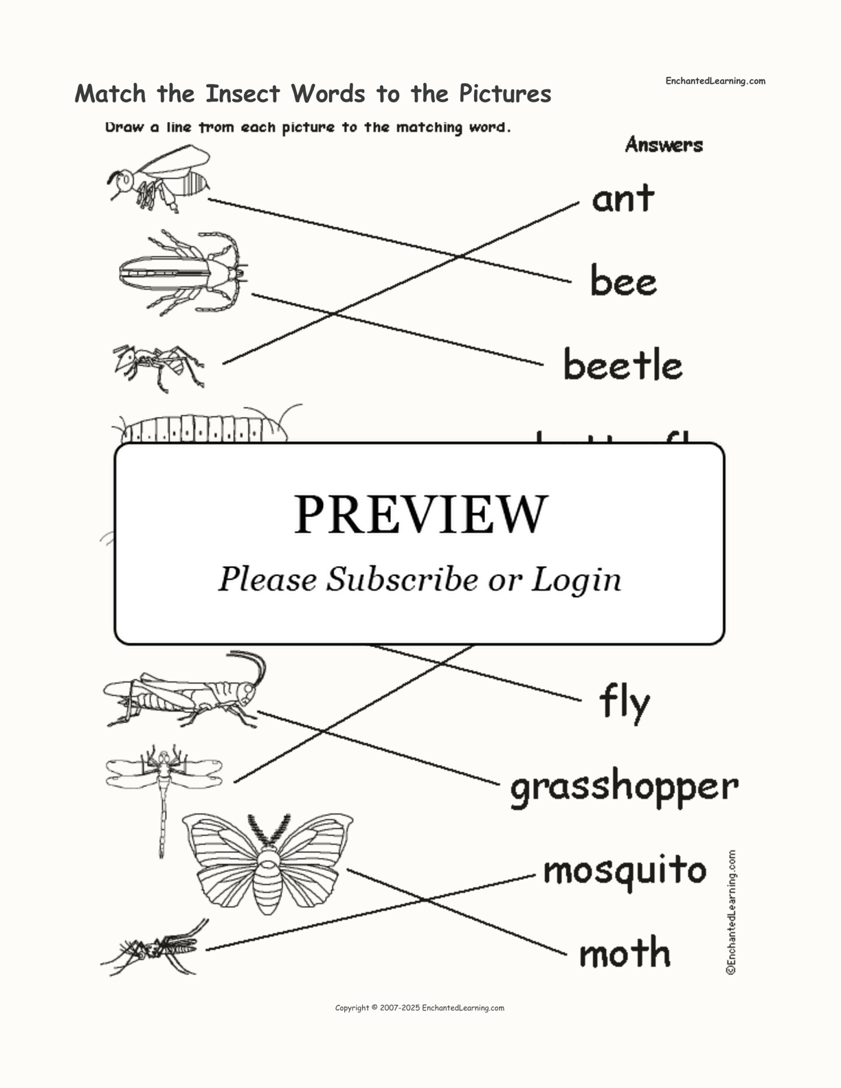 Match the Insect Words to the Pictures interactive worksheet page 2