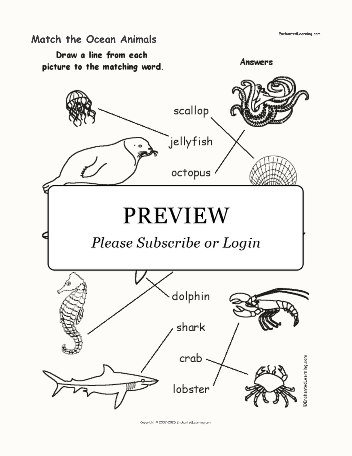 Match the Ocean Animals interactive worksheet page 2