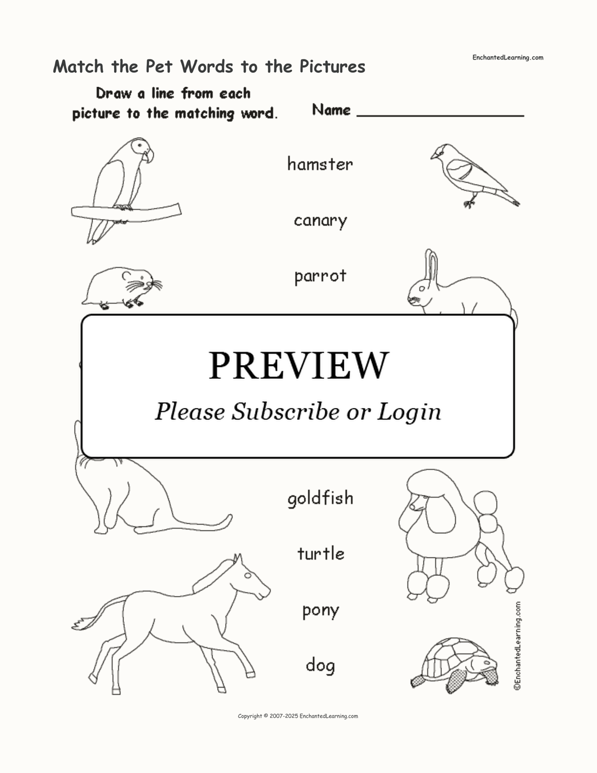 Match the Pet Words to the Pictures interactive worksheet page 1