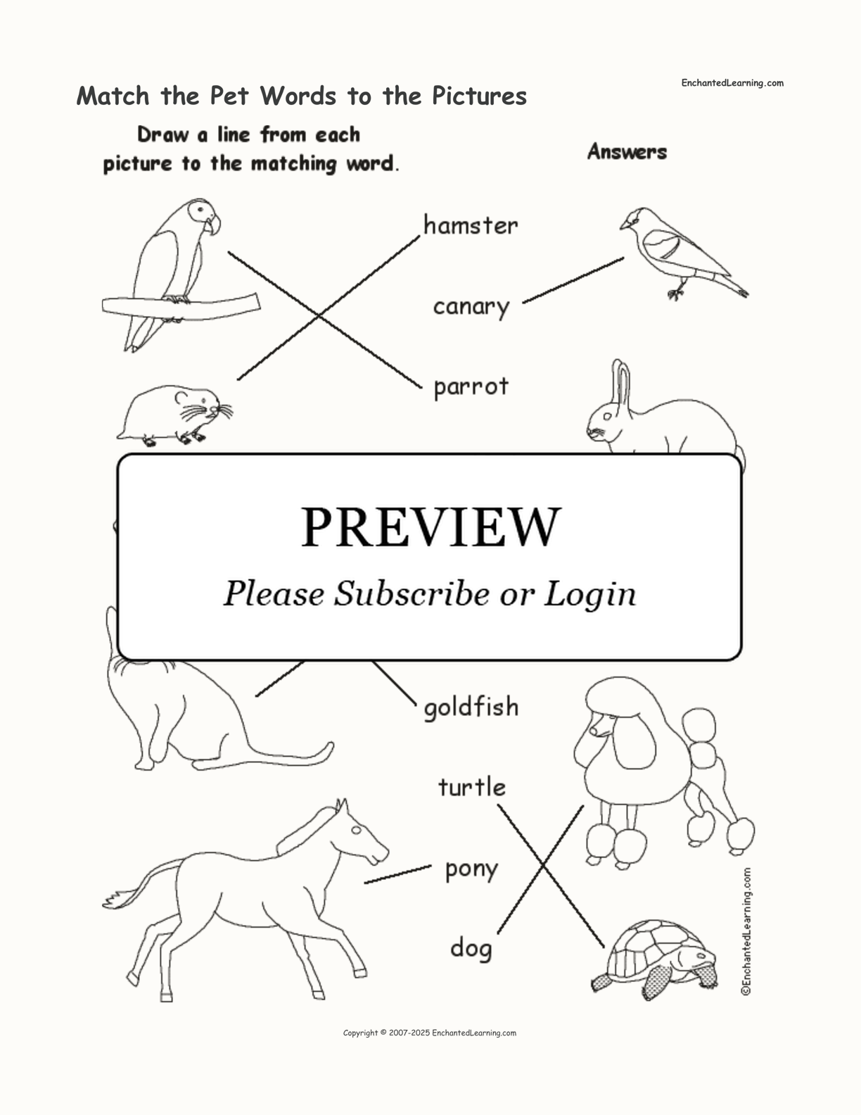 Match the Pet Words to the Pictures interactive worksheet page 2