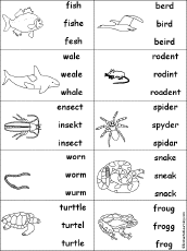 Multiple Choice Spelling -  Animal Words
