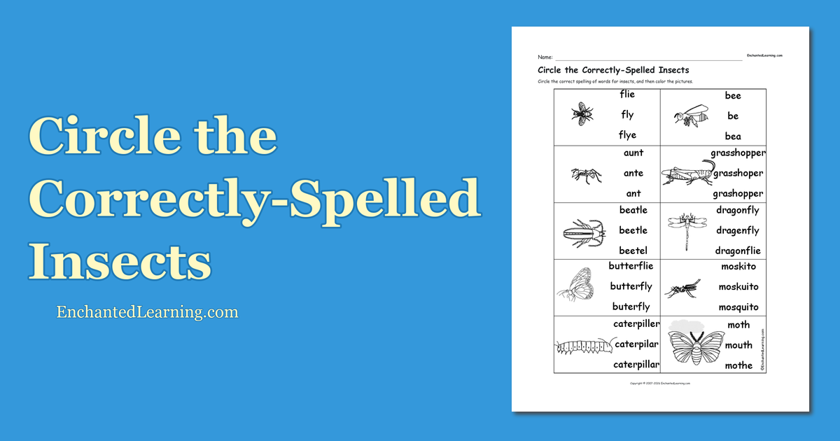 Spell Insects Circle the Correctly-Spelled Insects - Enchanted Learning