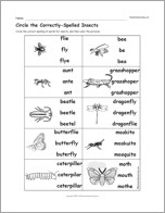 Search result: 'Circle the Correctly-Spelled Insects'