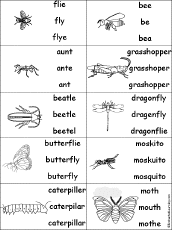 Multiple Choice Spelling -  Insects