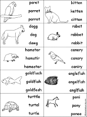 Type of pet