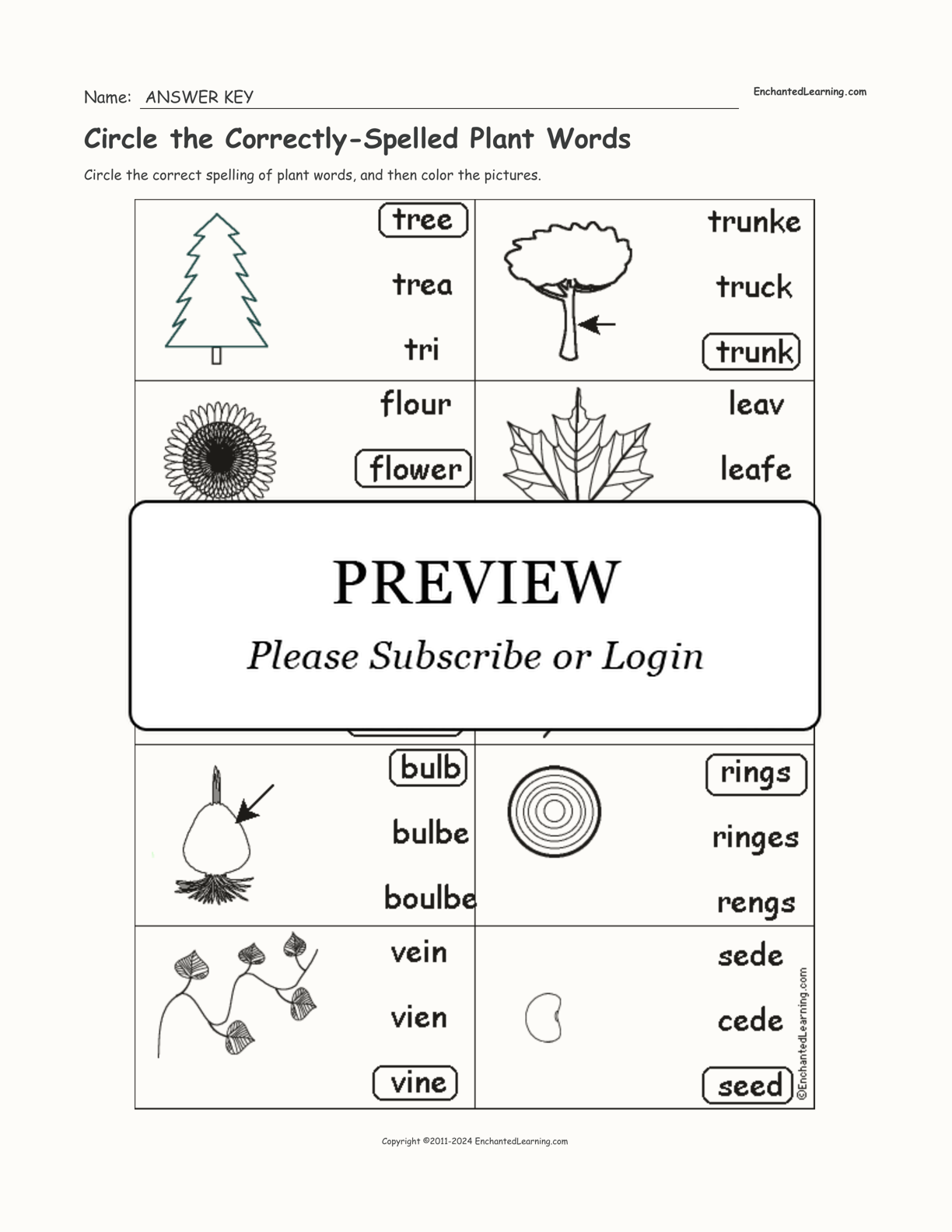Circle the Correctly-Spelled Plant Words interactive worksheet page 2