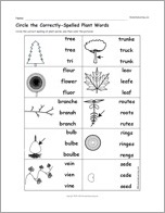 Search result: 'Circle the Correctly-Spelled Plant Words'