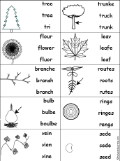 Multiple Choice Spelling - Plant-Related Words