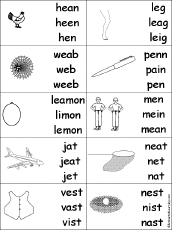 Multiple Choice Spelling -  Words