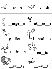 Fill in Missing Letters in Birds Words