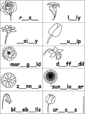 Fill in Missing Letters in Flower Words