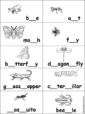 Fill in Missing Letters in Insects Words
