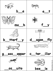 Search result: 'Fill in Missing Letters in Insect Words'