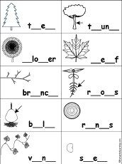 Fill in Missing Letters in Plant Words