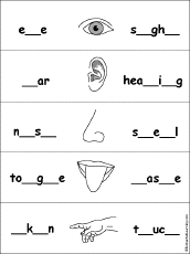 Fill in Missing Letters in Five Senses Words