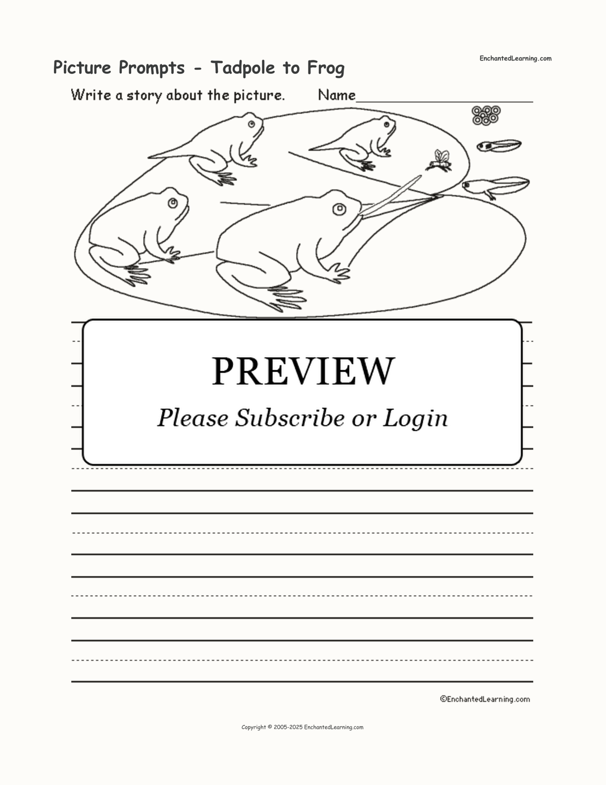 Picture Prompts - Tadpole to Frog interactive worksheet page 1