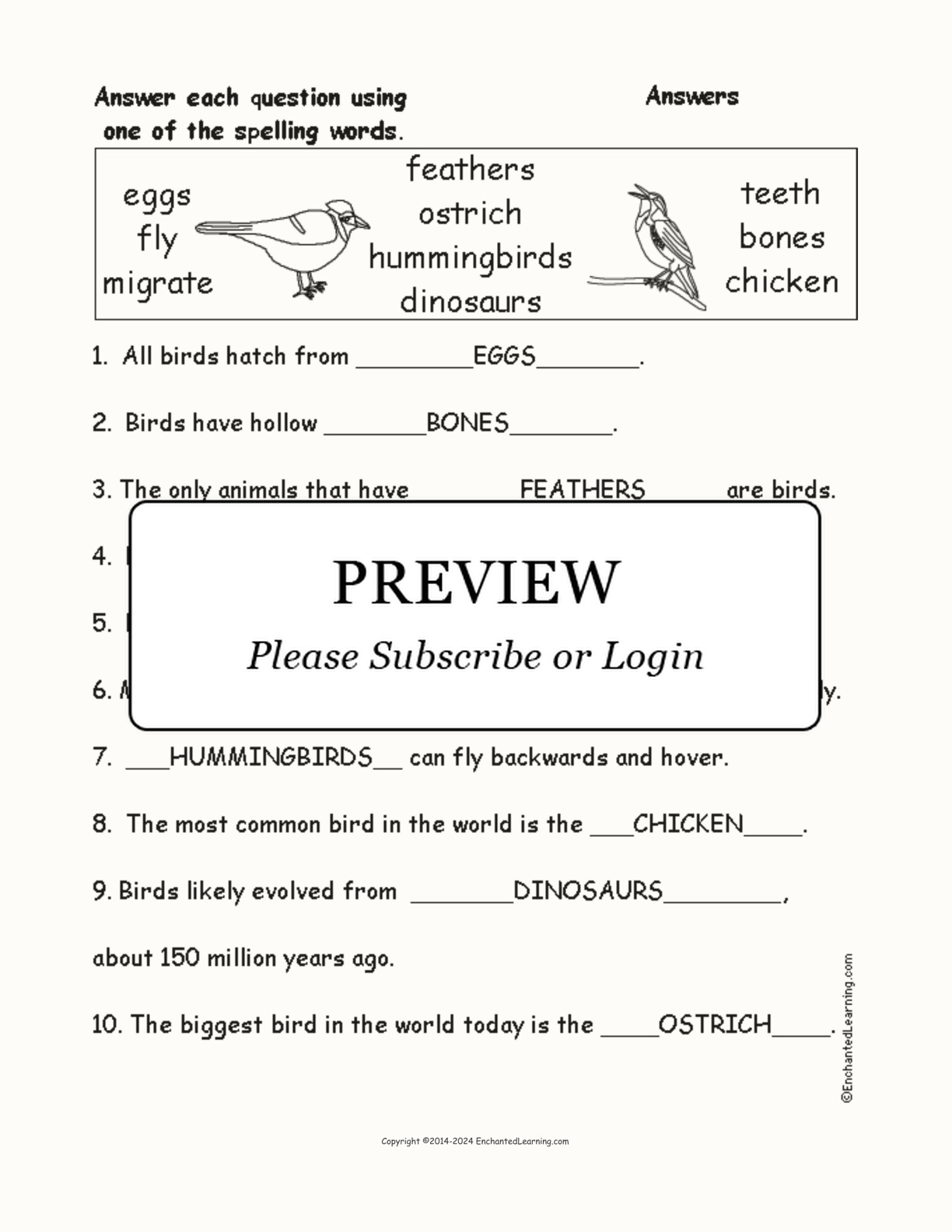 Bird Spelling Word Questions interactive worksheet page 2