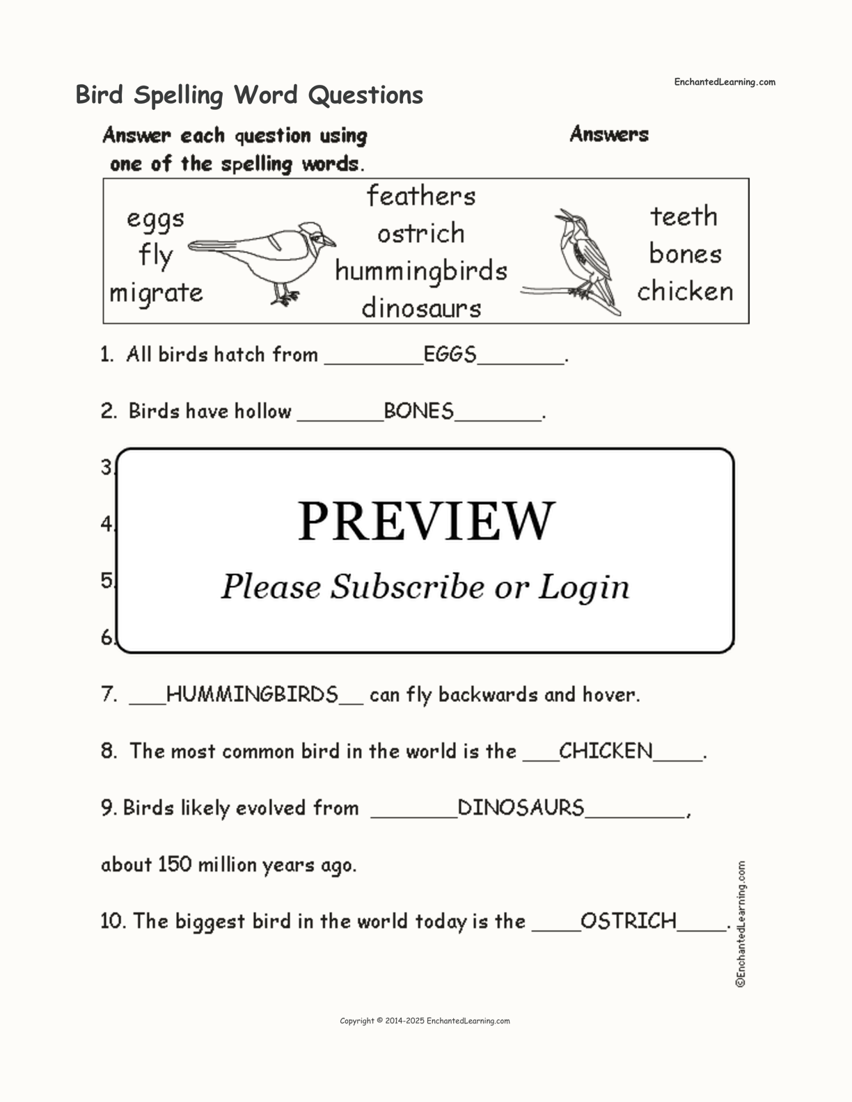 Bird Spelling Word Questions interactive worksheet page 2