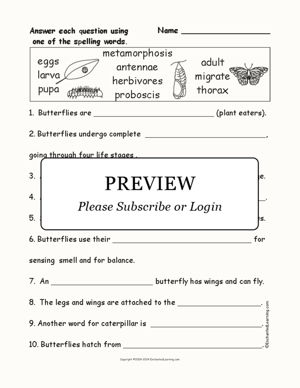 Butterfly Spelling Word Questions interactive worksheet page 1
