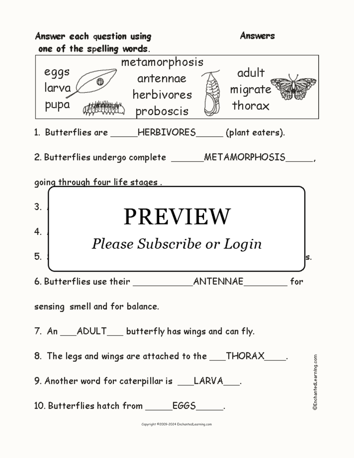 Butterfly Spelling Word Questions interactive worksheet page 2