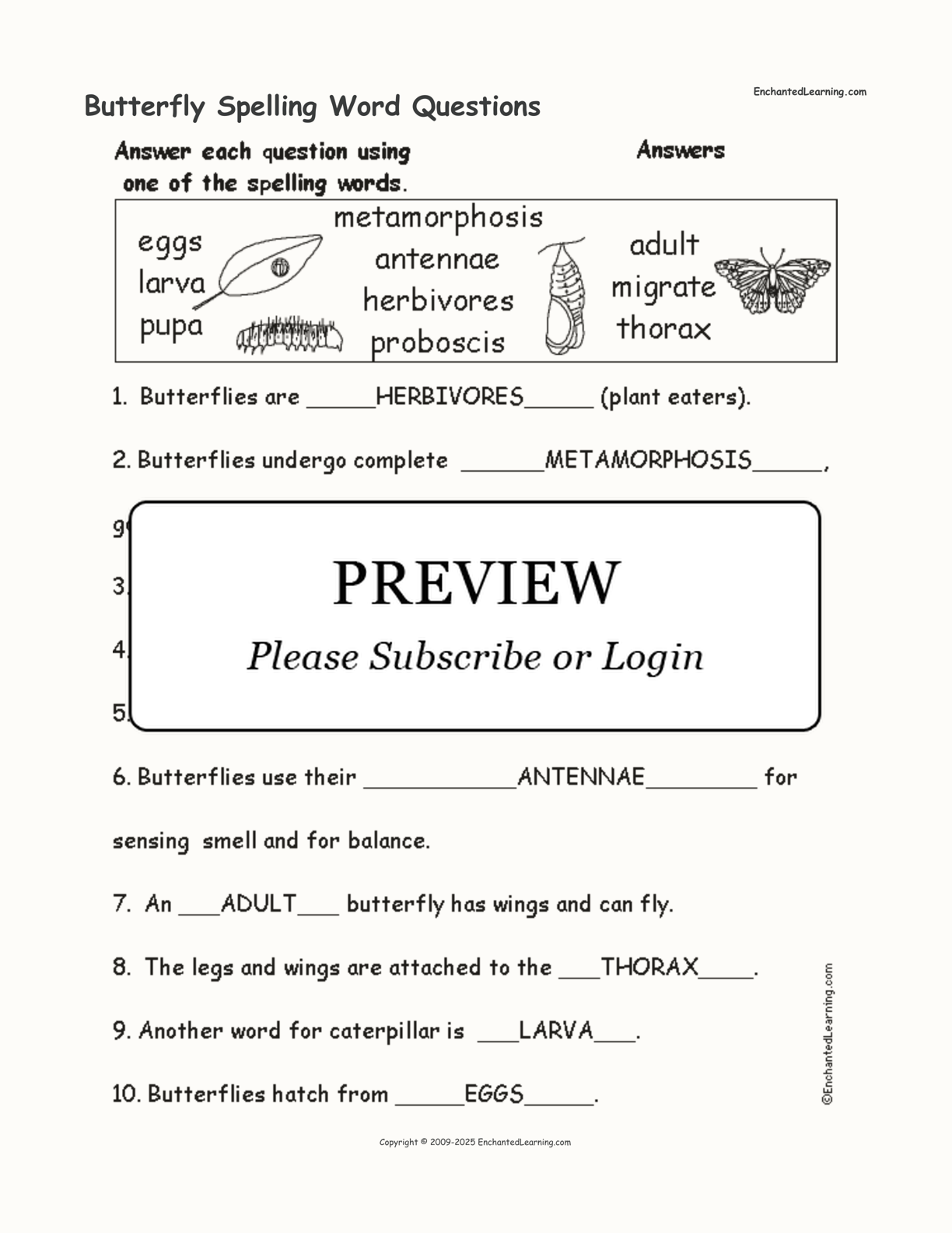 Butterfly Spelling Word Questions interactive worksheet page 2