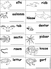Search result: 'Animal-Themed Unscramble-Words Worksheets'