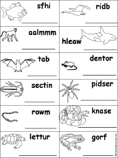 Unscramble Animal Words