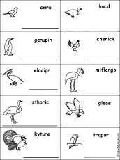 Spelling words