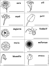 Unscramble Flower Words