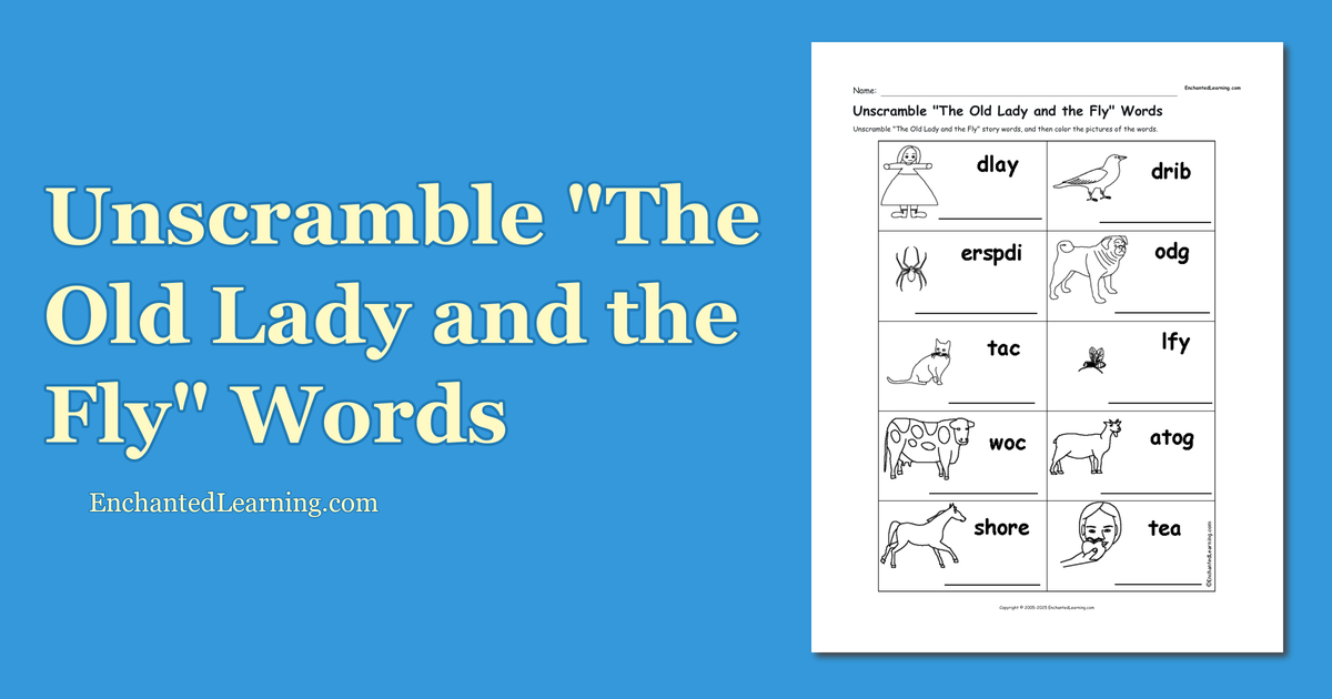 Unscramble "The Old Lady and the Fly" Words Enchanted Learning