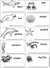 Search result: 'Unscramble Ocean Animal Words'